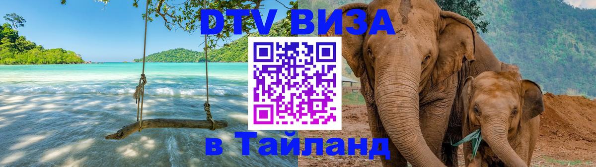 Сколько стоит DTV виза — актуальные цены, оформление даже без документов - Рейкьявик  18.11.2025 